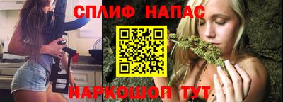 шишки Жуковский