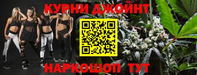 шишки Жуковский