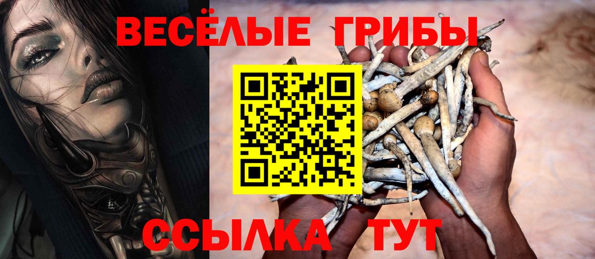 Псилоцибиновые грибы MAGIC MUSHROOMS Муром